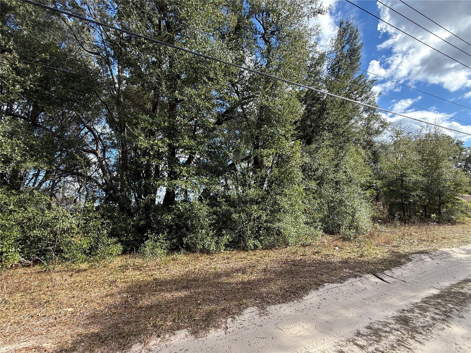 1467 NW 52nd Avenue Ocala FL 34482 OM716380 image6