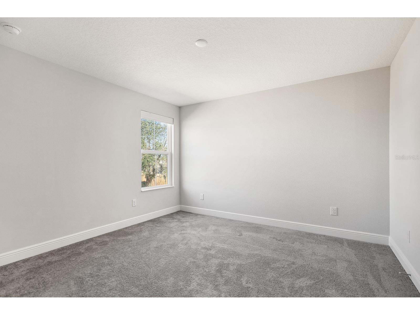 14671 Horse Trot Road Lithia FL 33547 TB8471570 image20