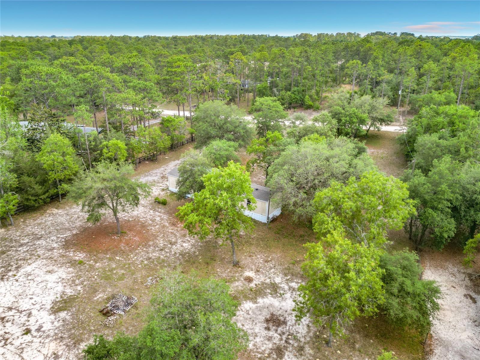 14671 SE 25th Street Morriston FL 32668 S5149653 image30