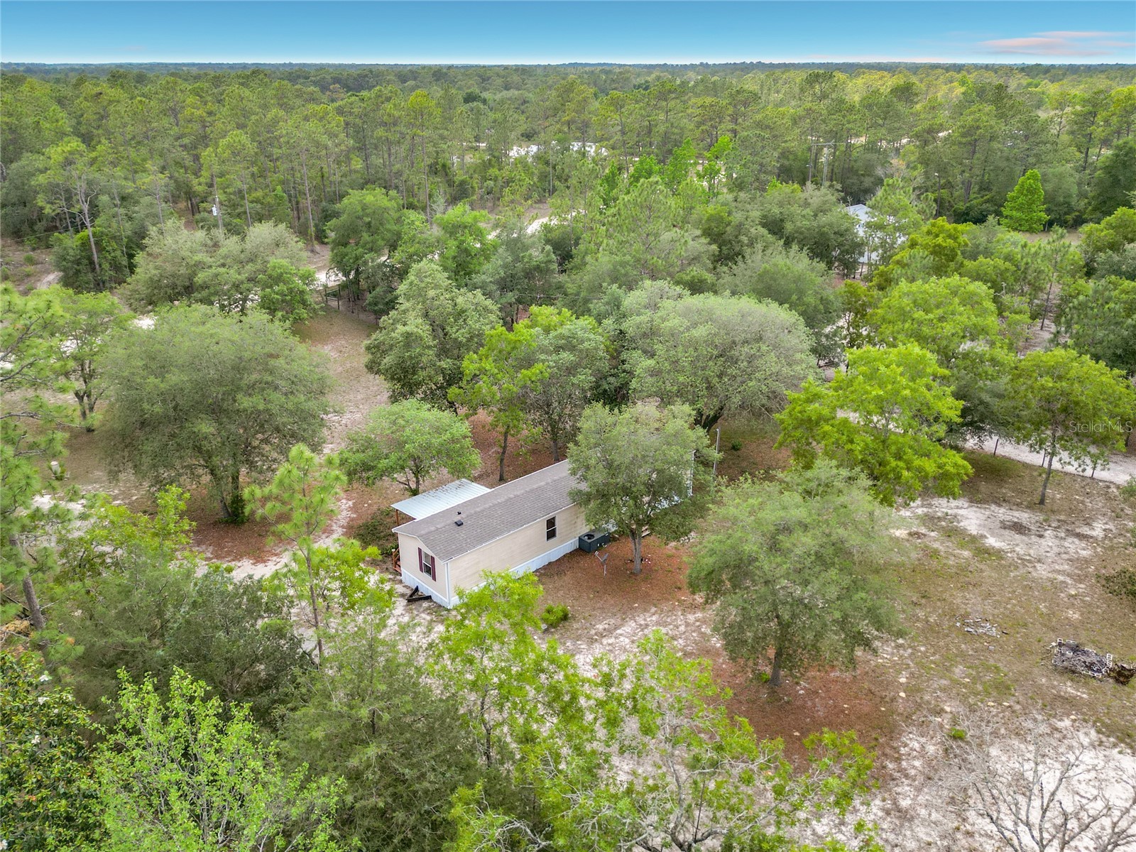 14671 SE 25th Street Morriston FL 32668 S5149653 image31
