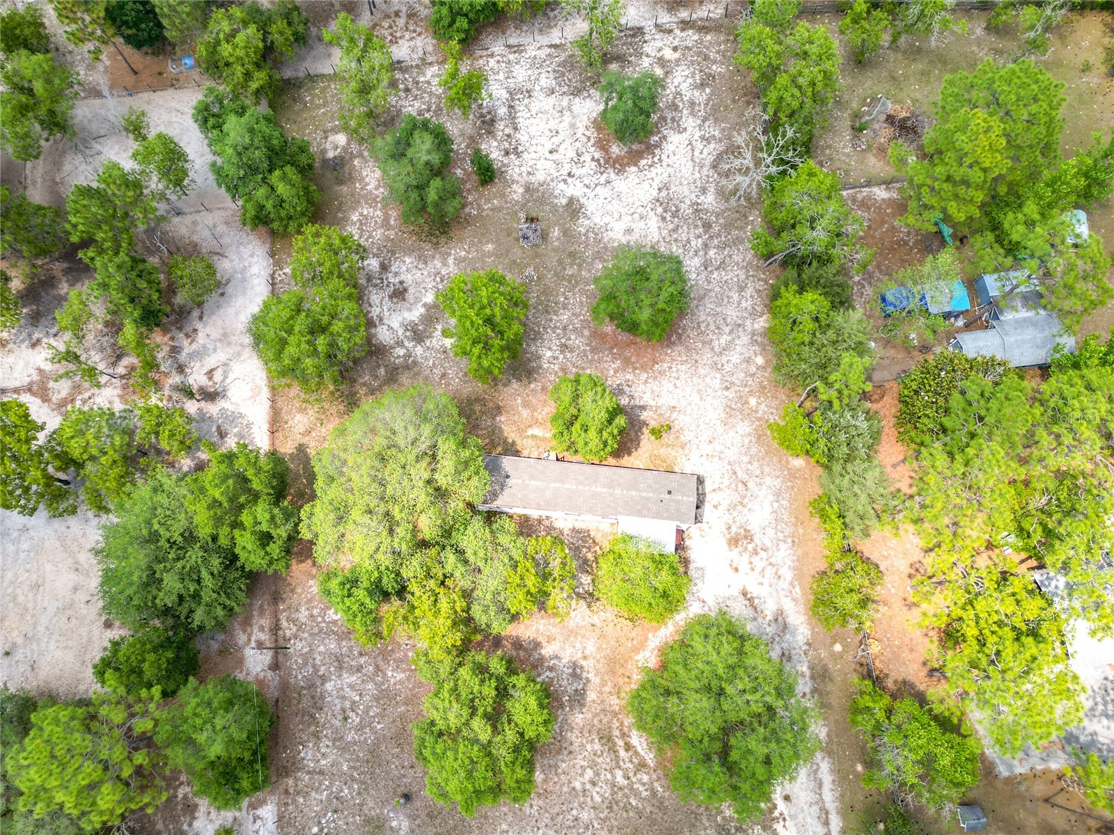 14671 SE 25th Street Morriston FL 32668 S5149653 image33