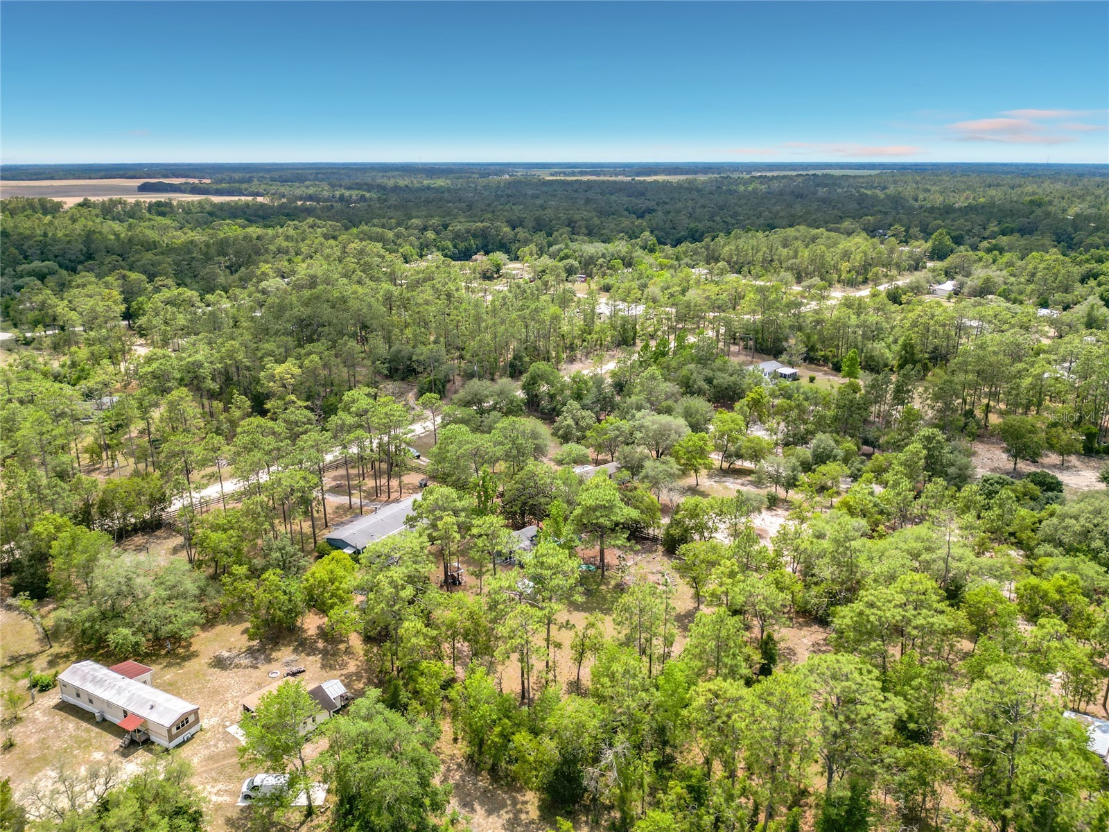 14671 SE 25th Street Morriston FL 32668 S5149653 image34