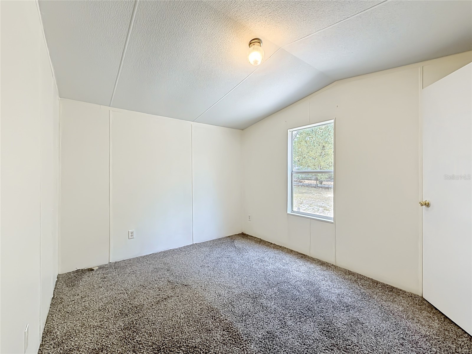 14671 SE 25th Street Morriston FL 32668 S5149653 image8