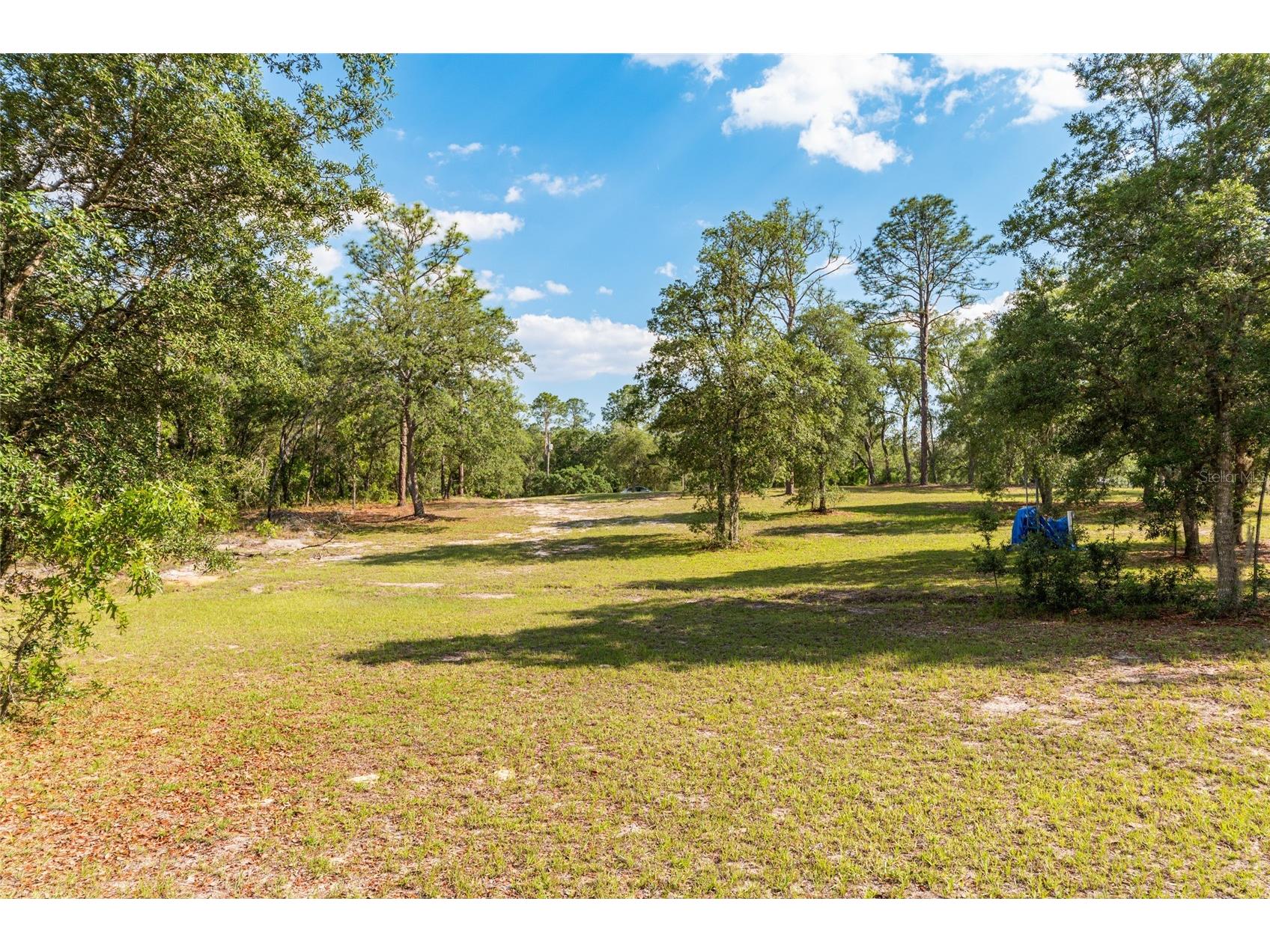 14671 SE 5th Place Williston FL 32696 G5112321 image17
