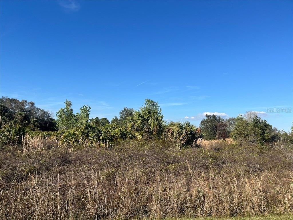 14675 NW 270th Street Okeechobee FL 34972 OK224929 image1