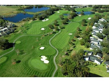 14675 Village Glen Circle Tampa FL 33618 TB8503540 image82