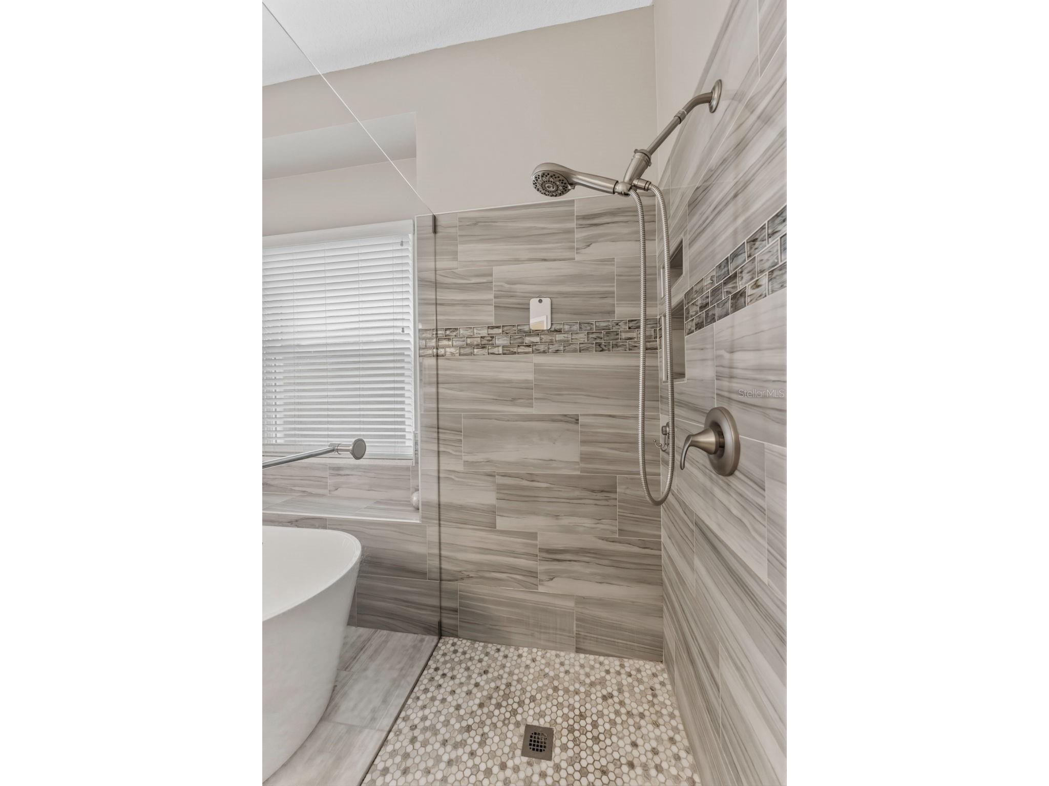14680 Canopy Drive Tampa FL 33626 TB8479867 image17