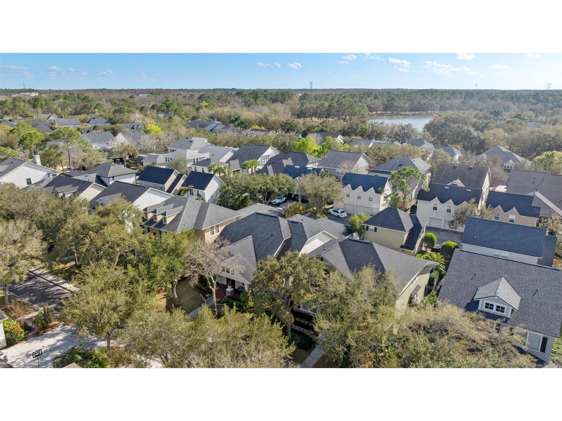 14680 Canopy Drive Tampa FL 33626 TB8479867 image36