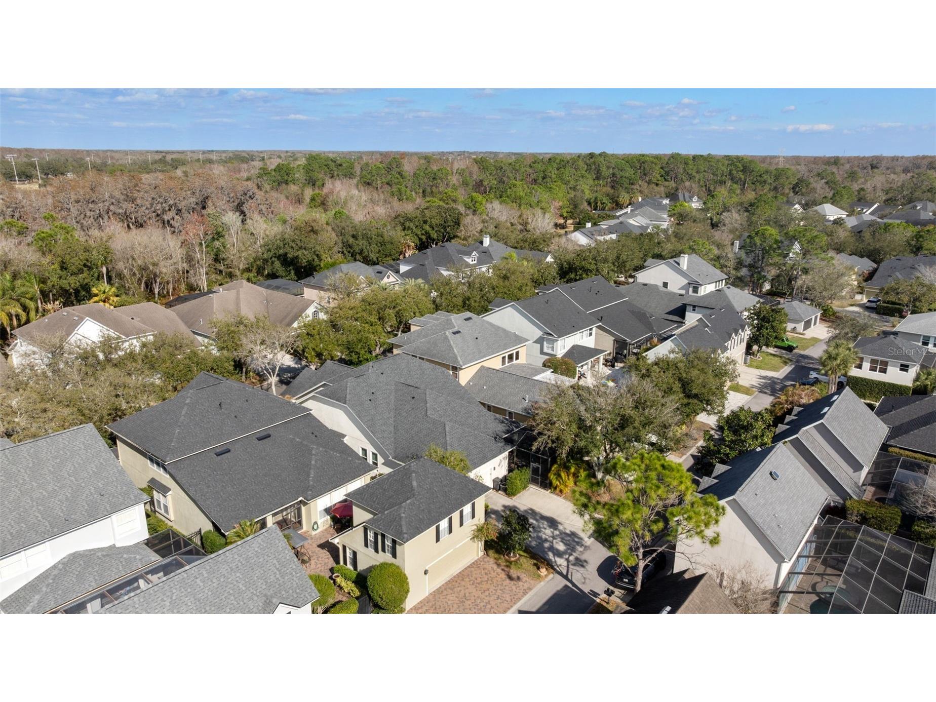 14680 Canopy Drive Tampa FL 33626 TB8479867 image37