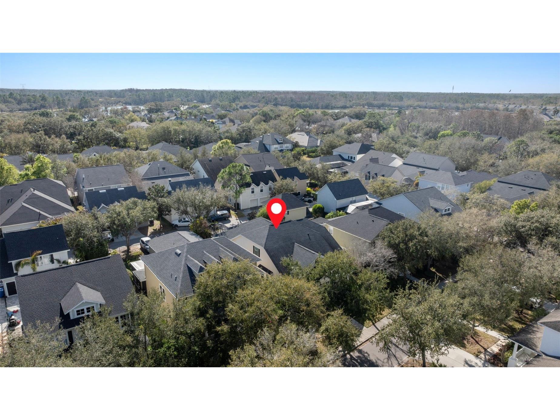 14680 Canopy Drive Tampa FL 33626 TB8479867 image38