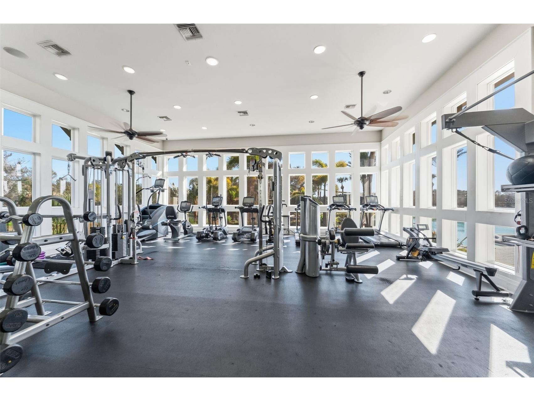 14680 Canopy Drive Tampa FL 33626 TB8479867 image40