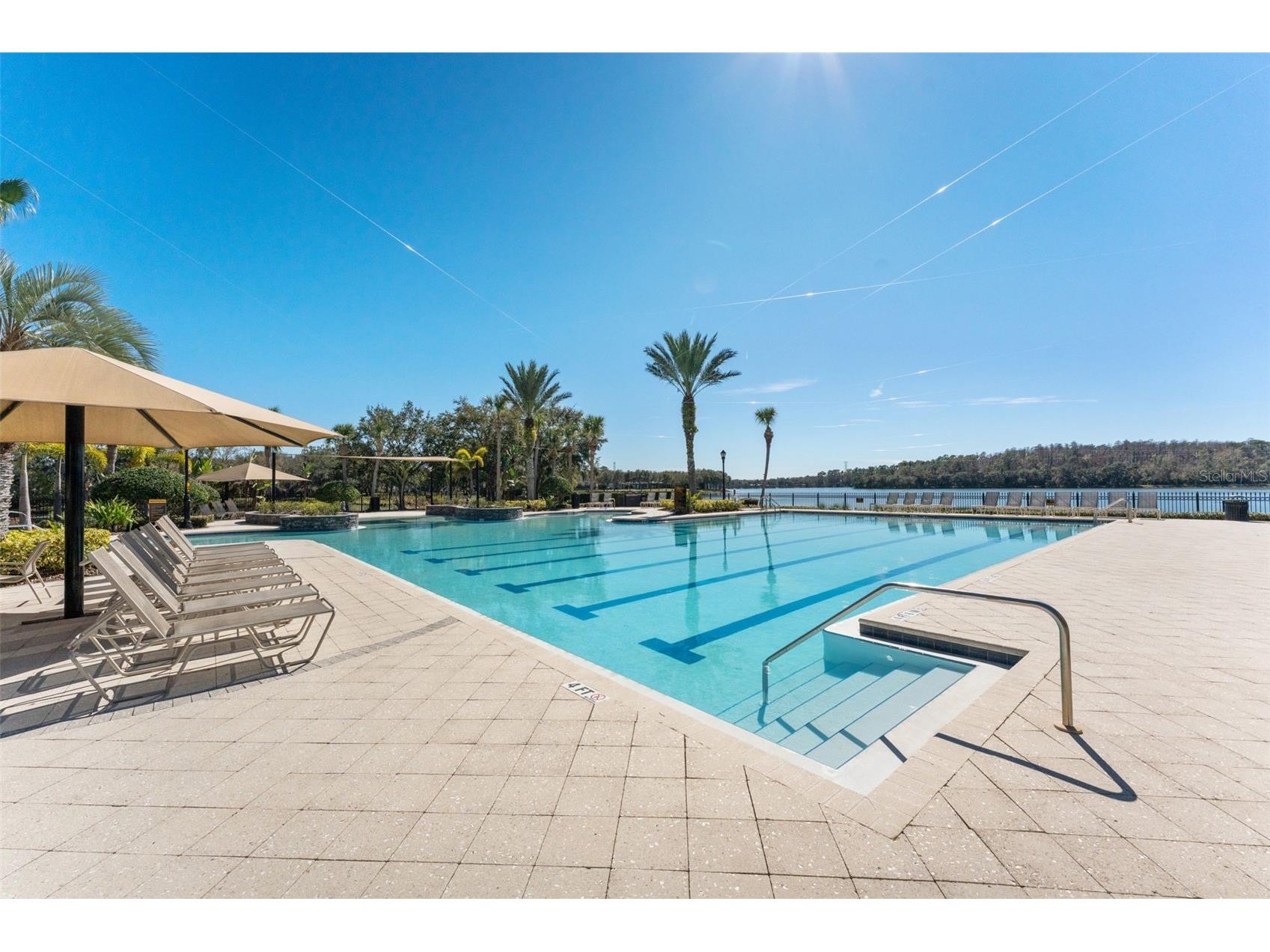 14680 Canopy Drive Tampa FL 33626 TB8479867 image46