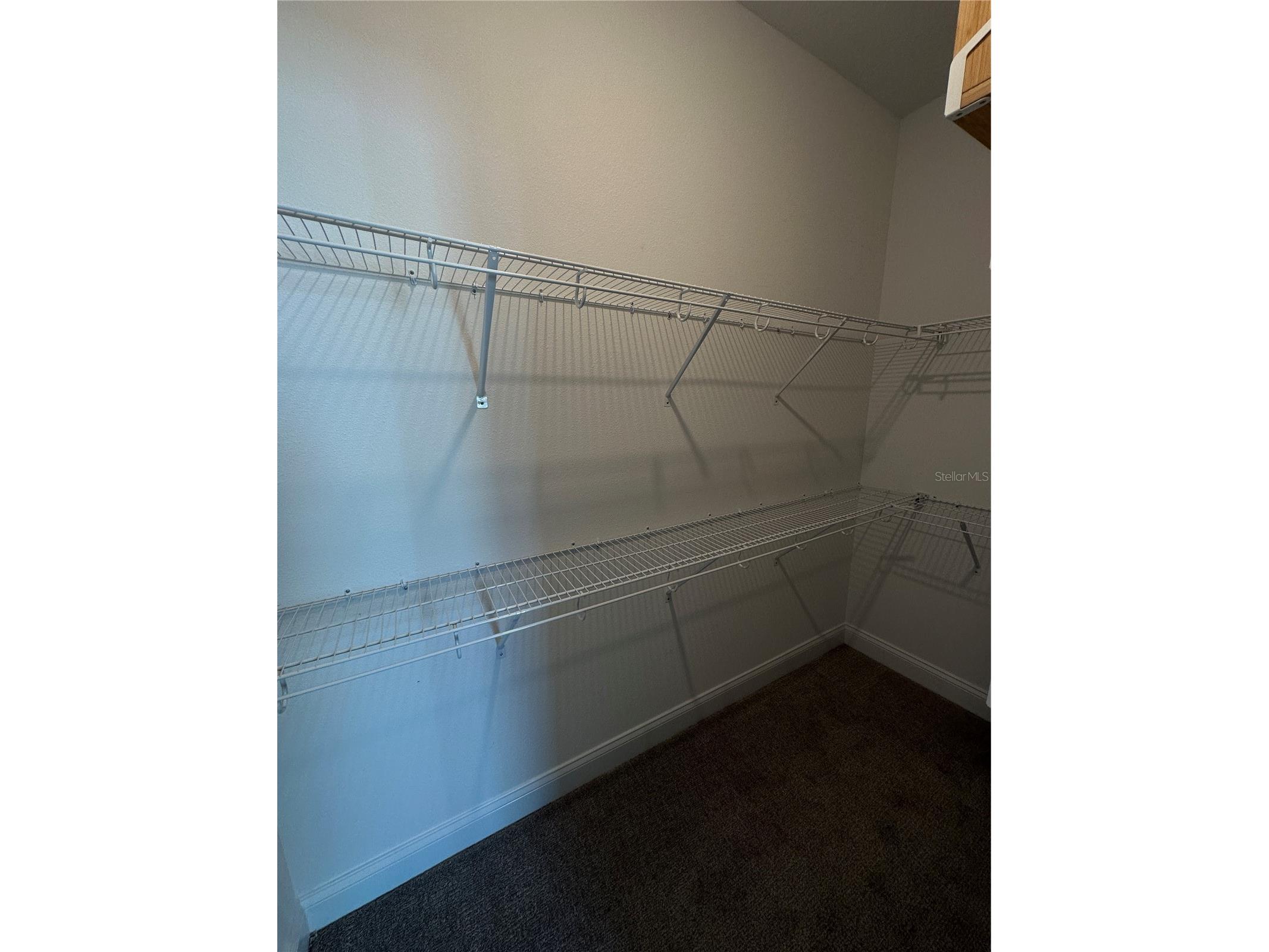 14685 Englert Alley Orlando FL 32827 O6395257 image11