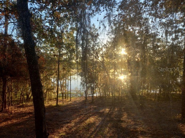 14688 SE 47th Loop Ocklawaha FL 32179 - LAKE TOMAHAWK OM657107 image1