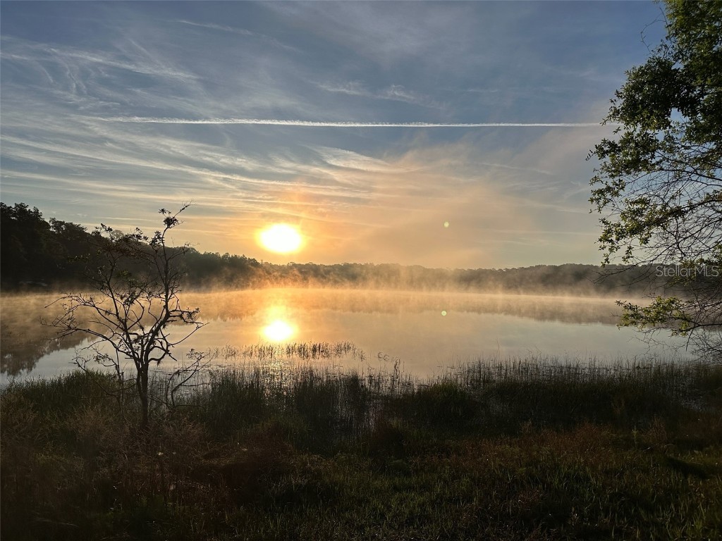 14688 SE 47th Loop Ocklawaha FL 32179 OM688416 image1