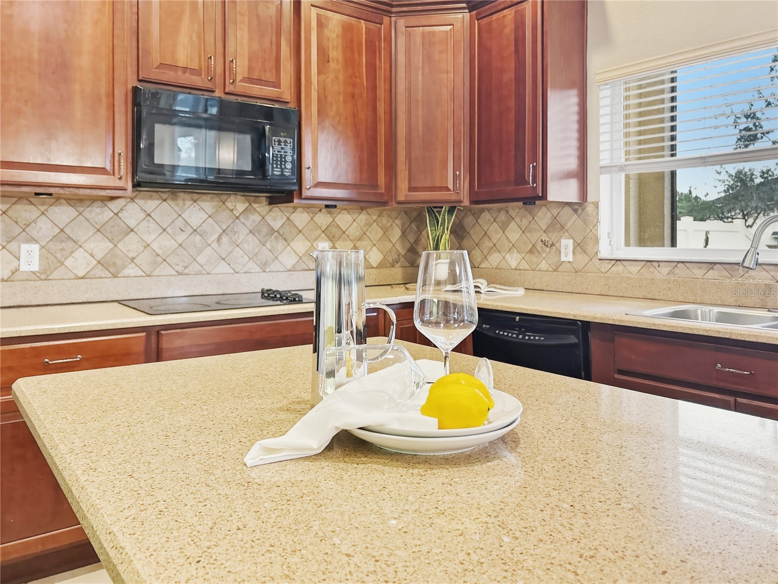 14689 Brunswood Way Orlando FL 32824 O6386844 image25