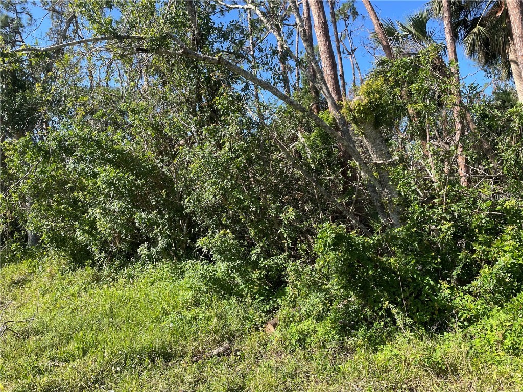 1469 Atlas Street Port Charlotte FL 33952 C7471137 image1