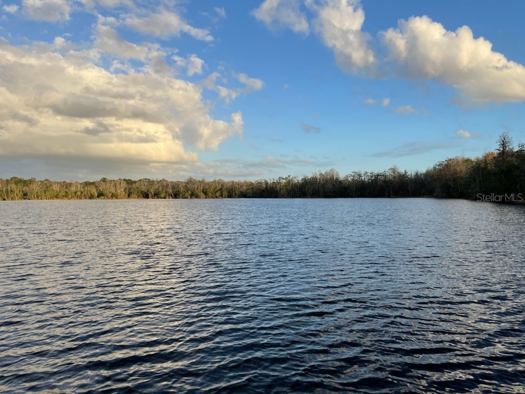 1469 County Road, Earleton, FL, 32631 MLS P4925077 Edina Realty