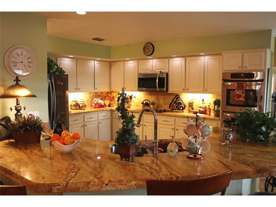 1469 Rio De Janeiro Avenue Punta Gorda FL 33983 C7518865 image7