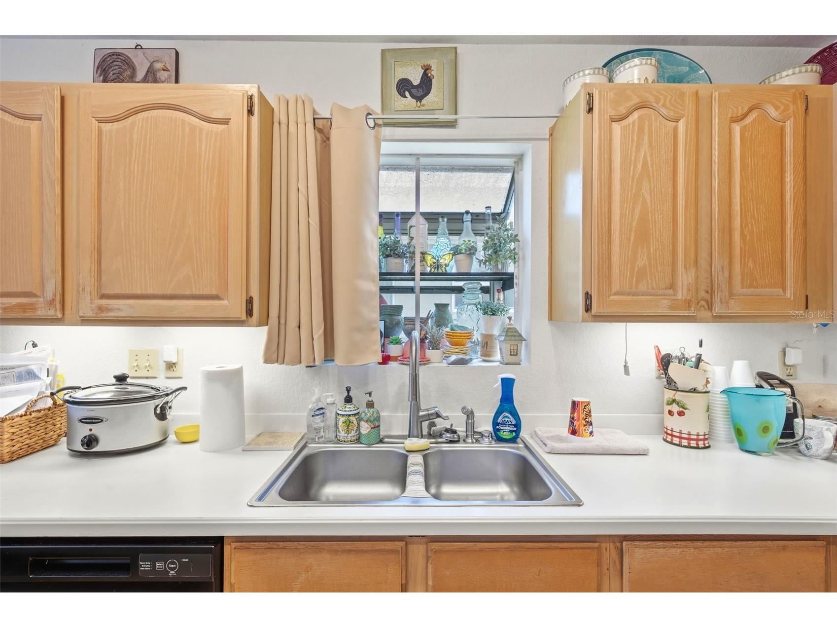 1469 Riverdale Drive Oldsmar FL 34677 TB8521939 image16