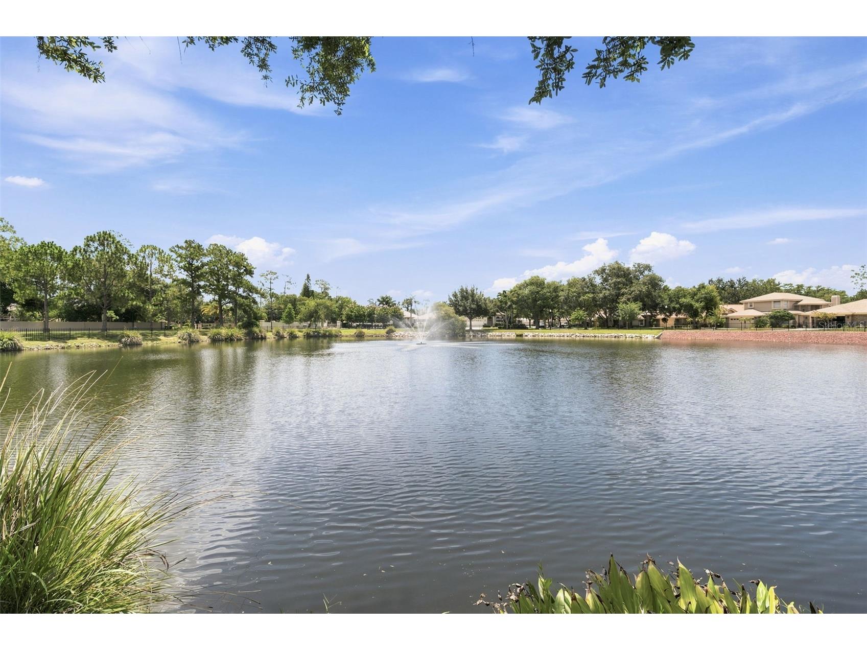 1469 Riverdale Drive Oldsmar FL 34677 TB8521939 image3