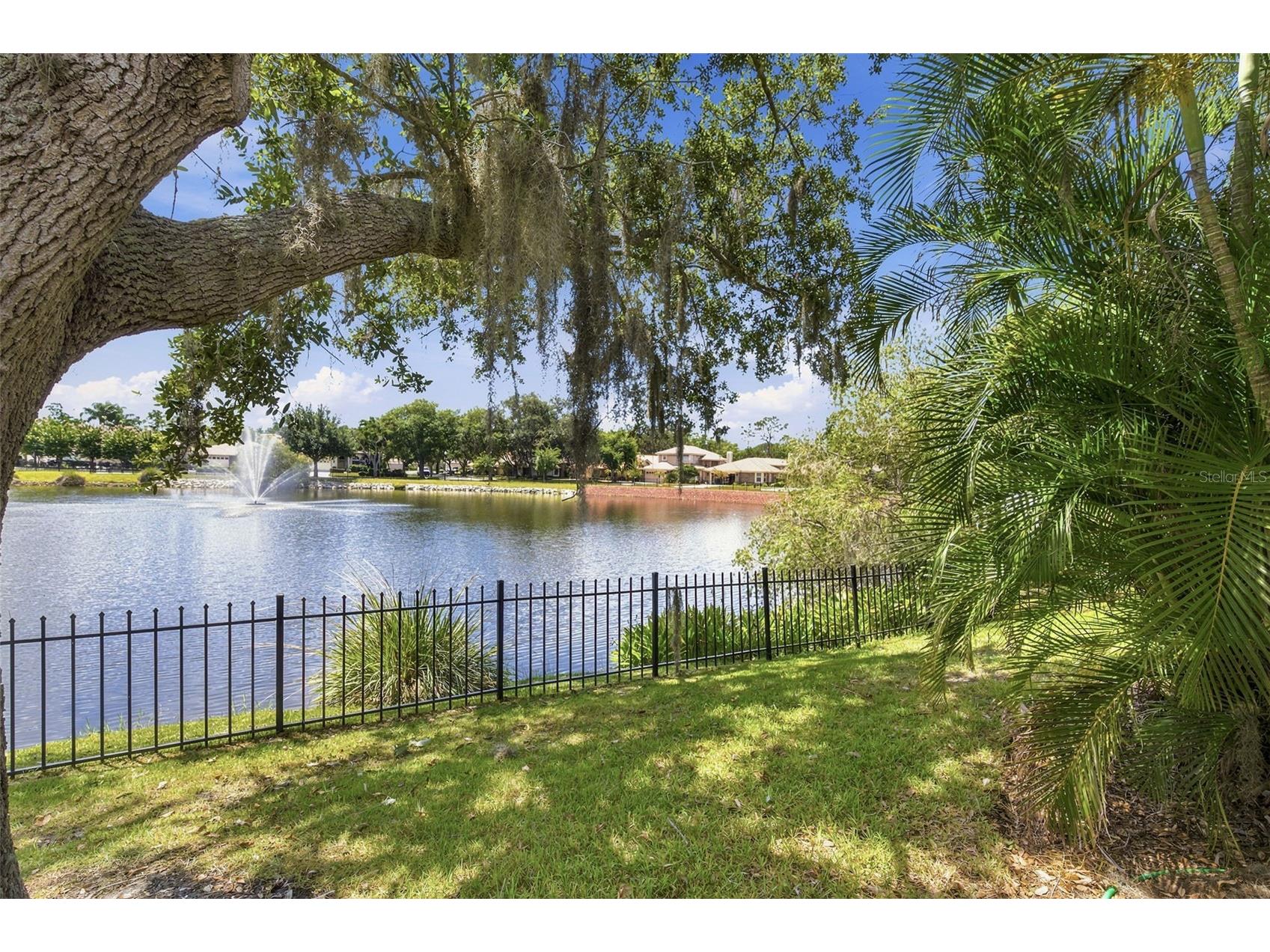 1469 Riverdale Drive Oldsmar FL 34677 TB8521939 image4
