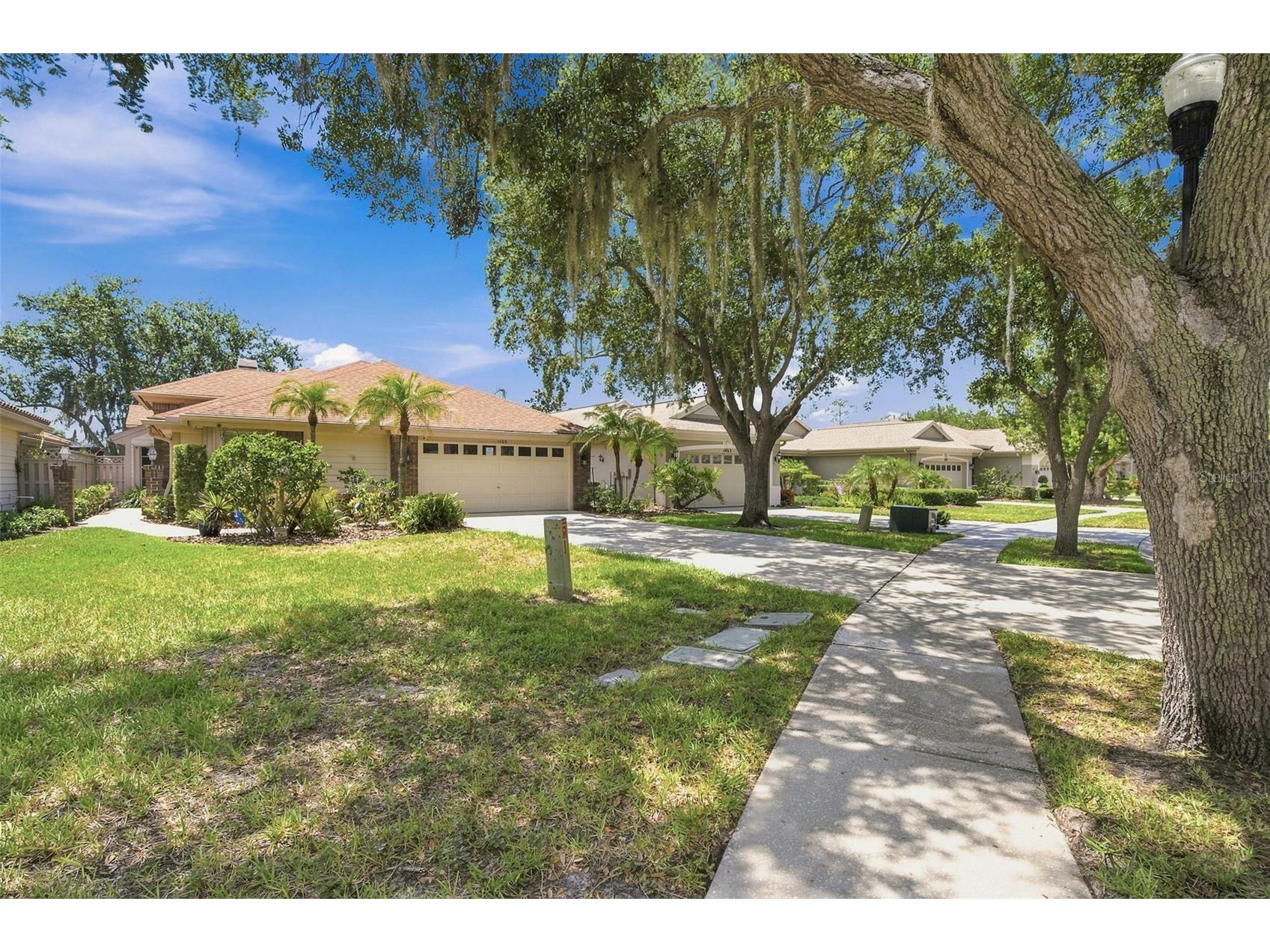 1469 Riverdale Drive Oldsmar FL 34677 TB8521939 image42