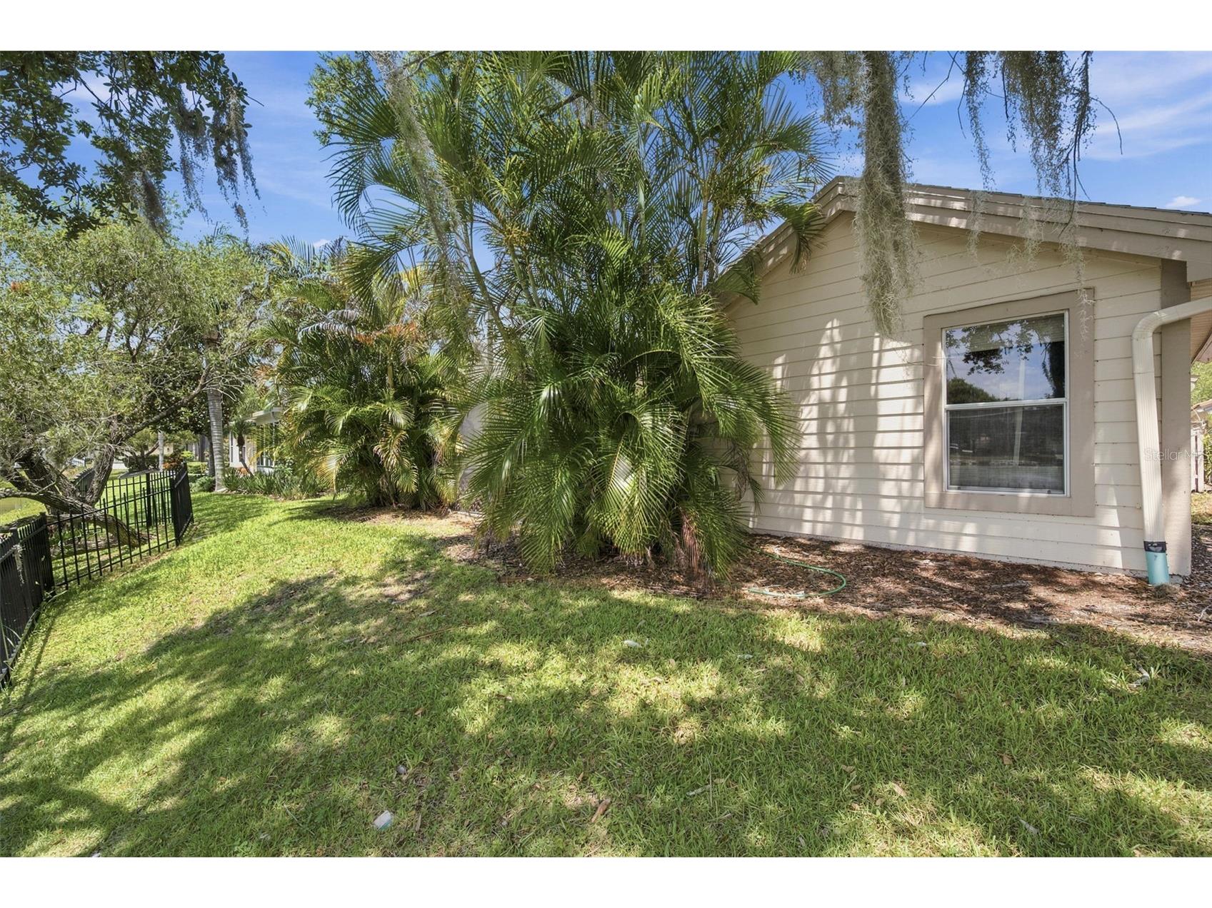 1469 Riverdale Drive Oldsmar FL 34677 TB8521939 image43