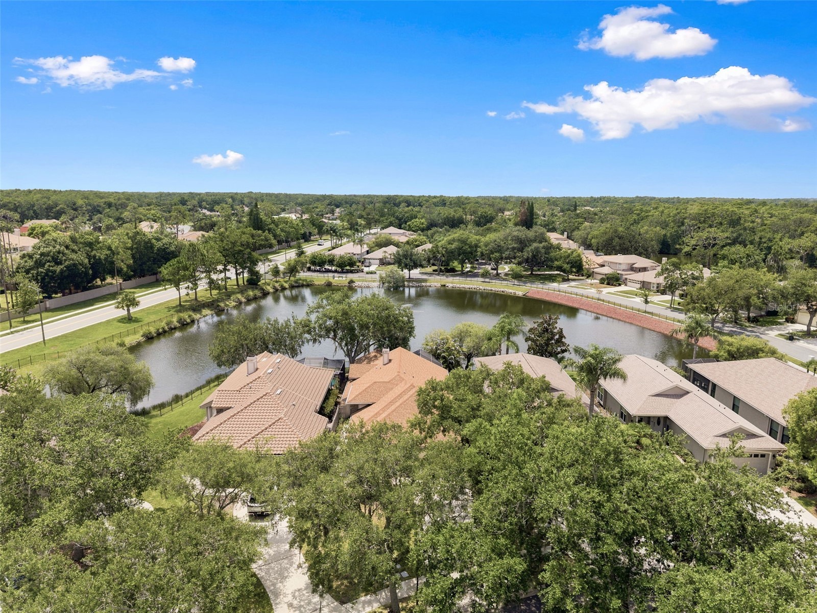 1469 Riverdale Drive Oldsmar FL 34677 TB8521939 image44