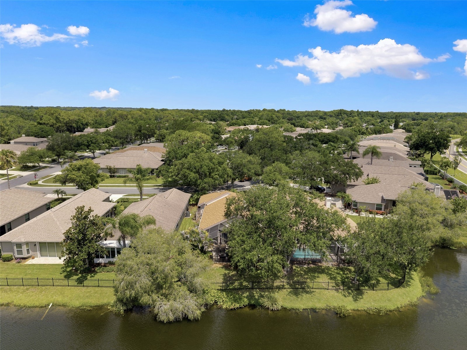 1469 Riverdale Drive Oldsmar FL 34677 TB8521939 image45