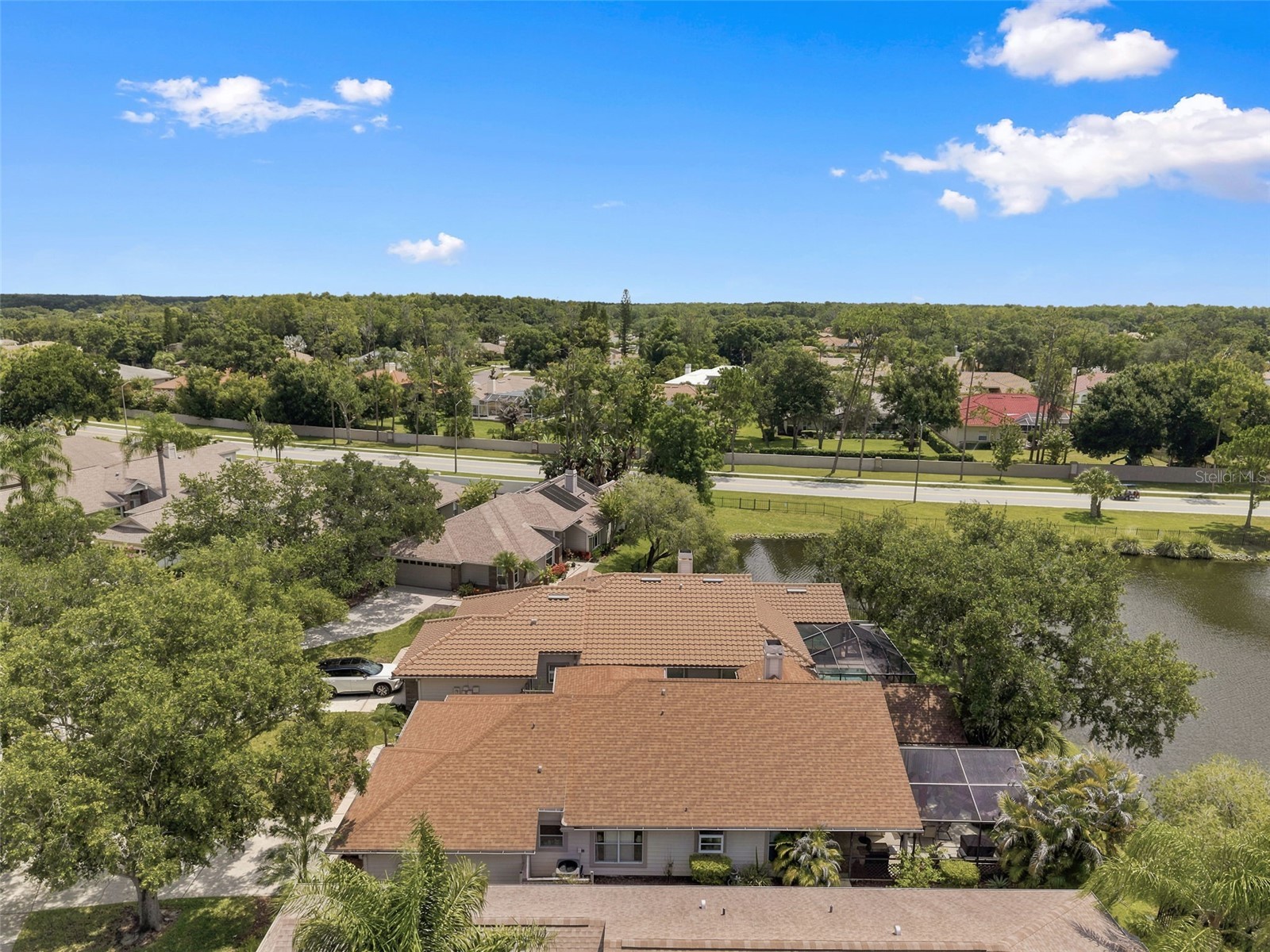 1469 Riverdale Drive Oldsmar FL 34677 TB8521939 image46
