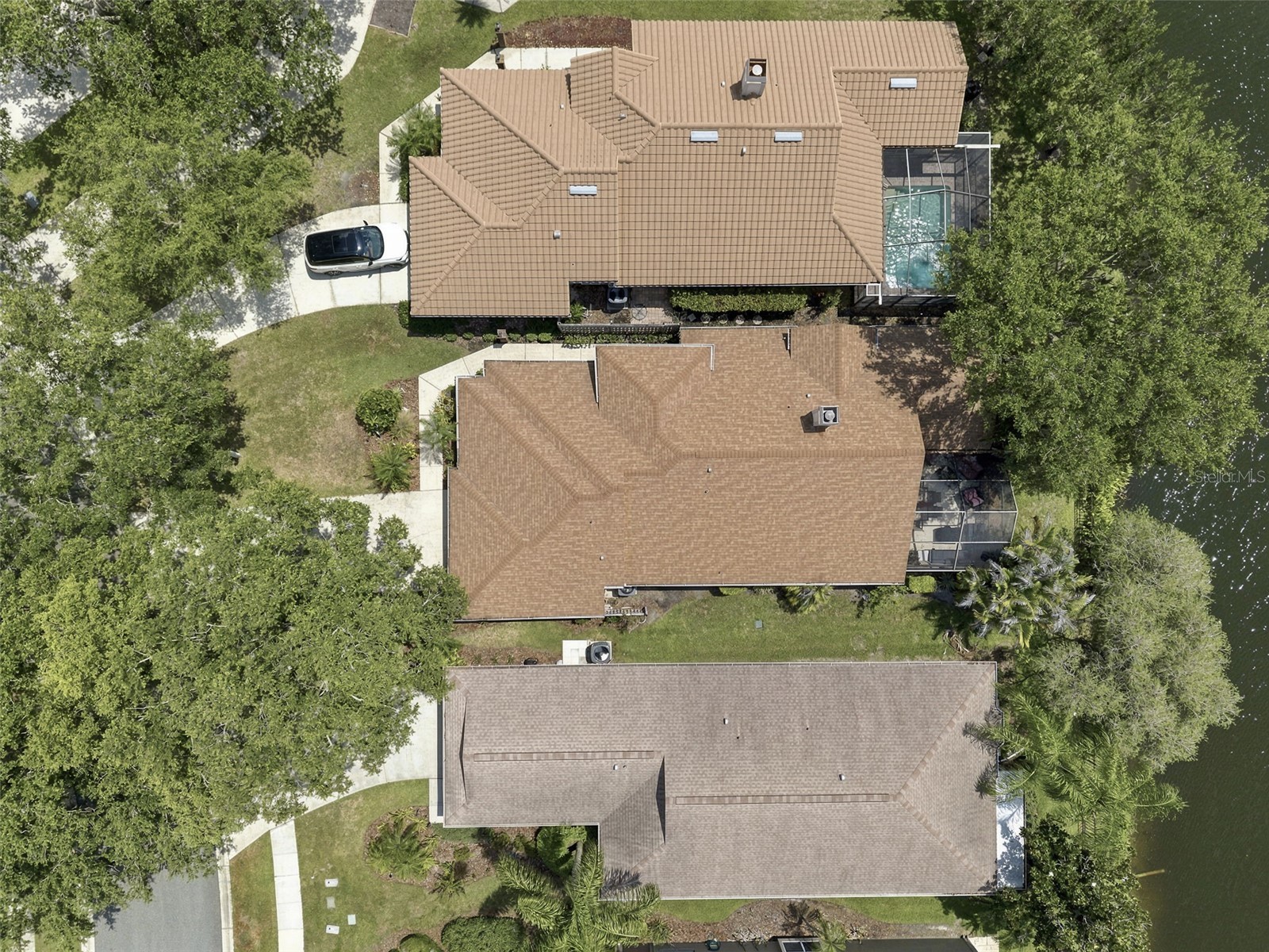 1469 Riverdale Drive Oldsmar FL 34677 TB8521939 image47