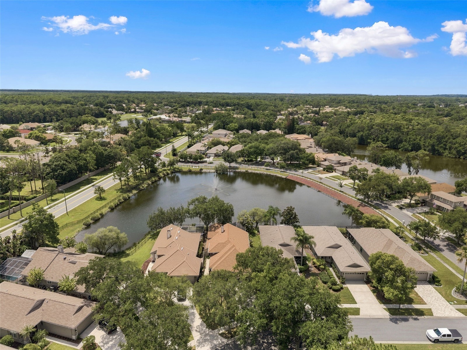 1469 Riverdale Drive Oldsmar FL 34677 TB8521939 image48