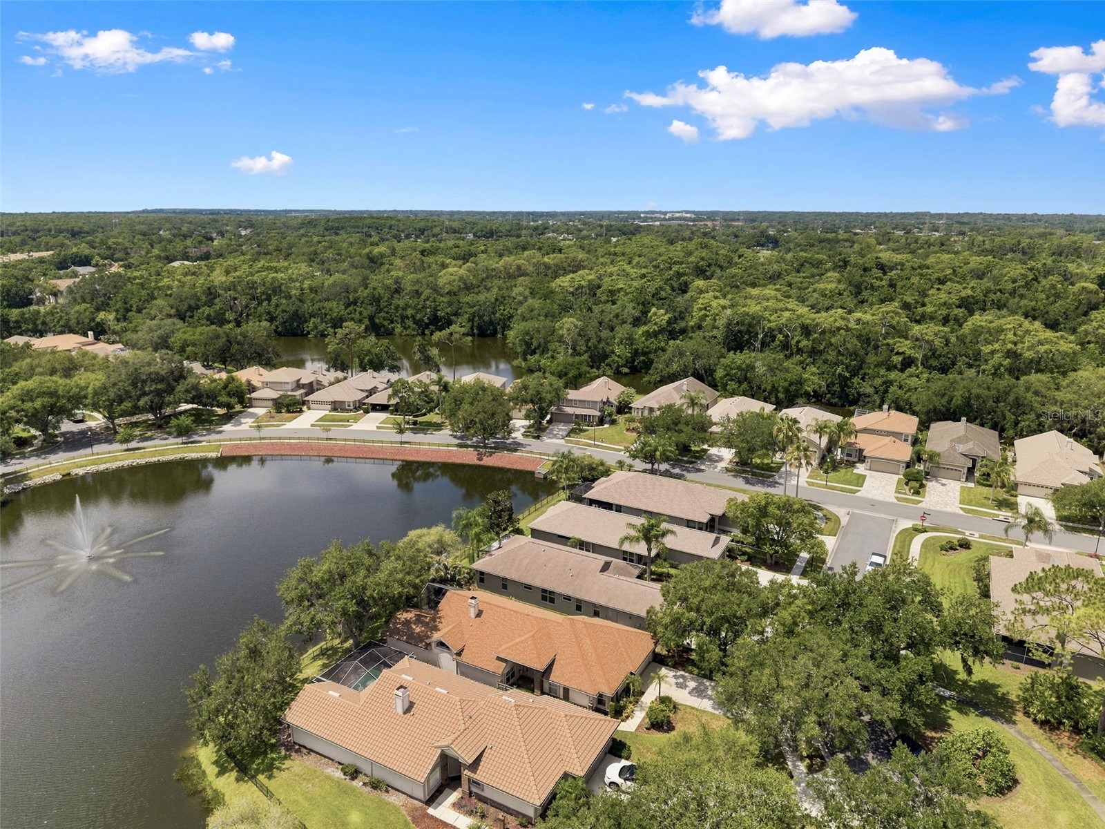 1469 Riverdale Drive Oldsmar FL 34677 TB8521939 image49