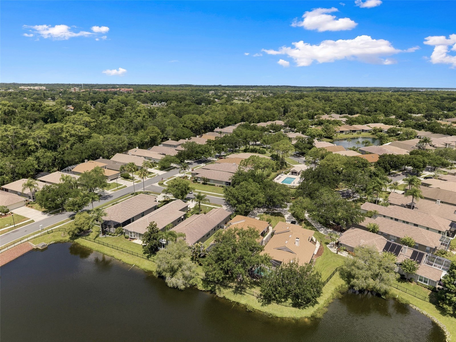 1469 Riverdale Drive Oldsmar FL 34677 TB8521939 image50