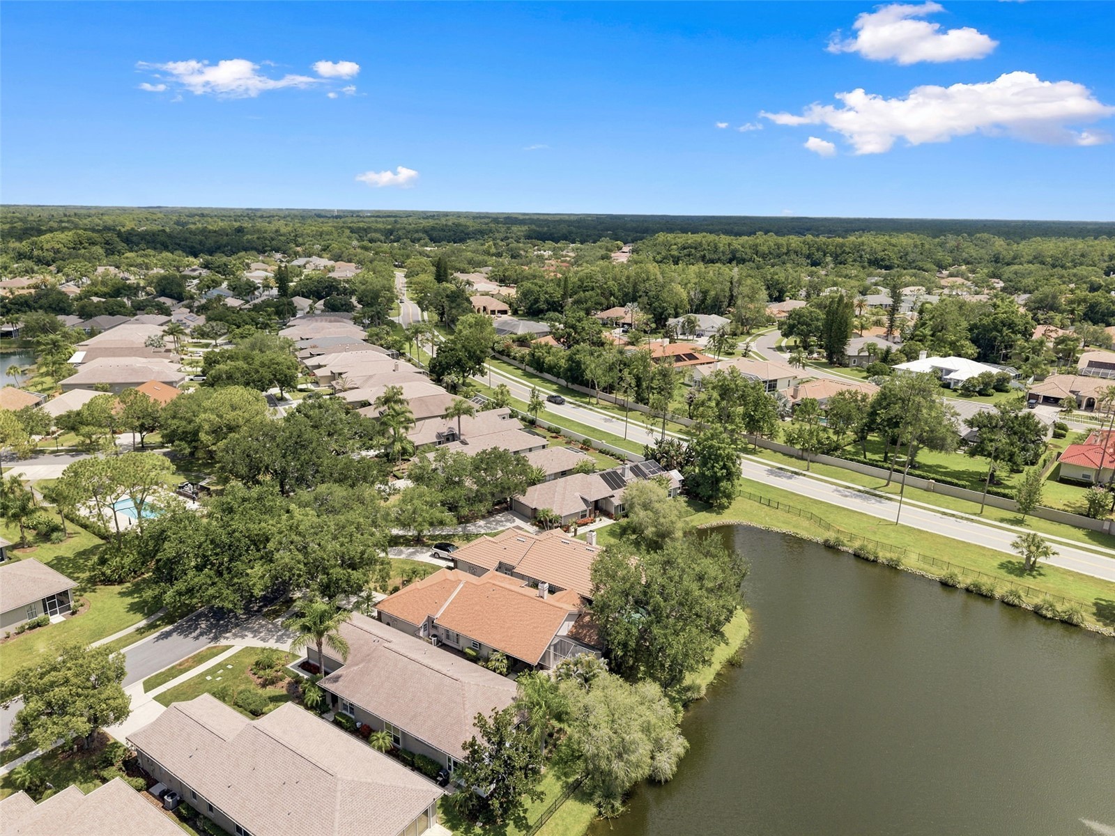 1469 Riverdale Drive Oldsmar FL 34677 TB8521939 image51
