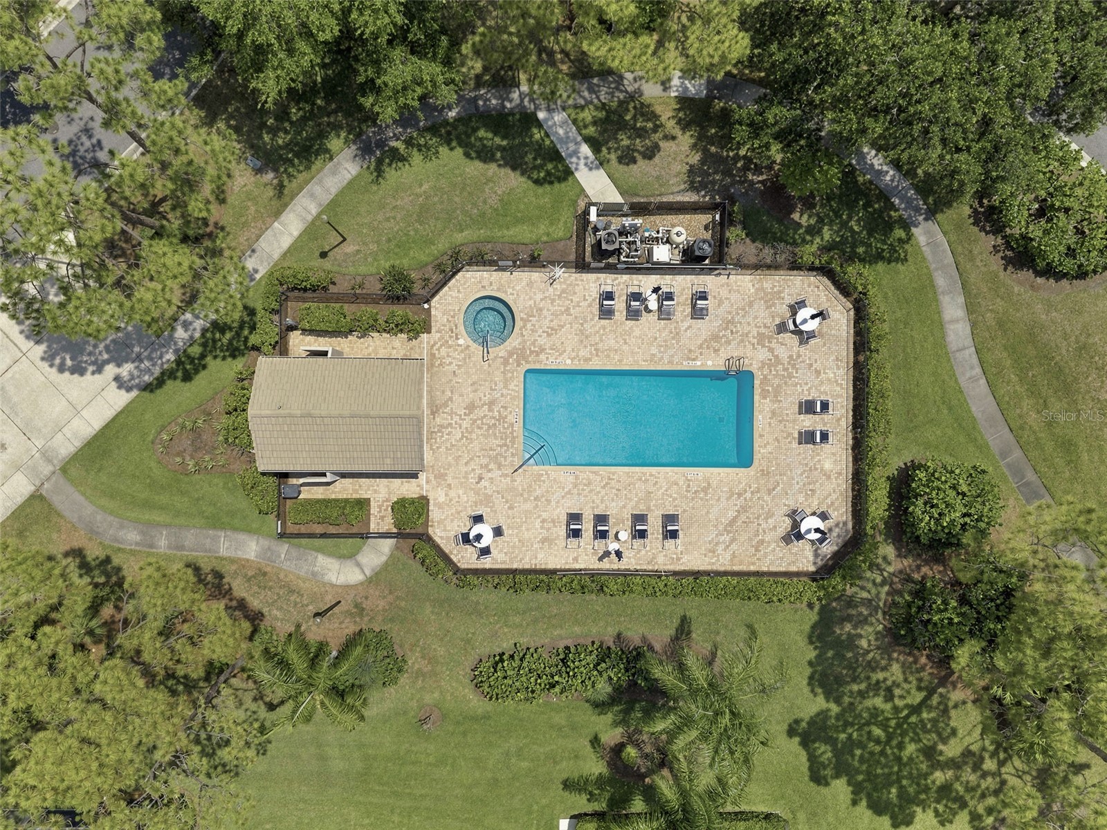 1469 Riverdale Drive Oldsmar FL 34677 TB8521939 image52
