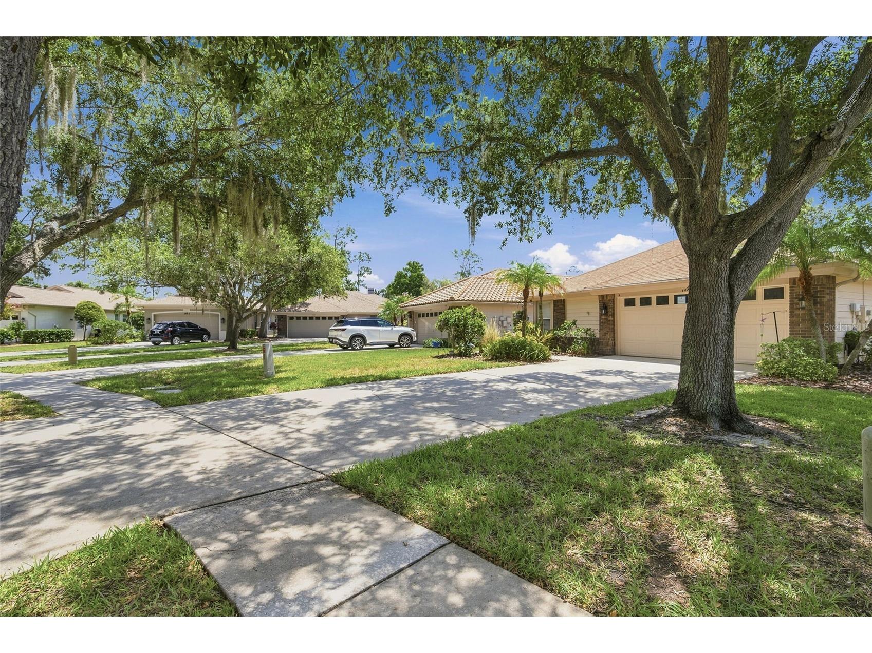 1469 Riverdale Drive Oldsmar FL 34677 TB8521939 image6