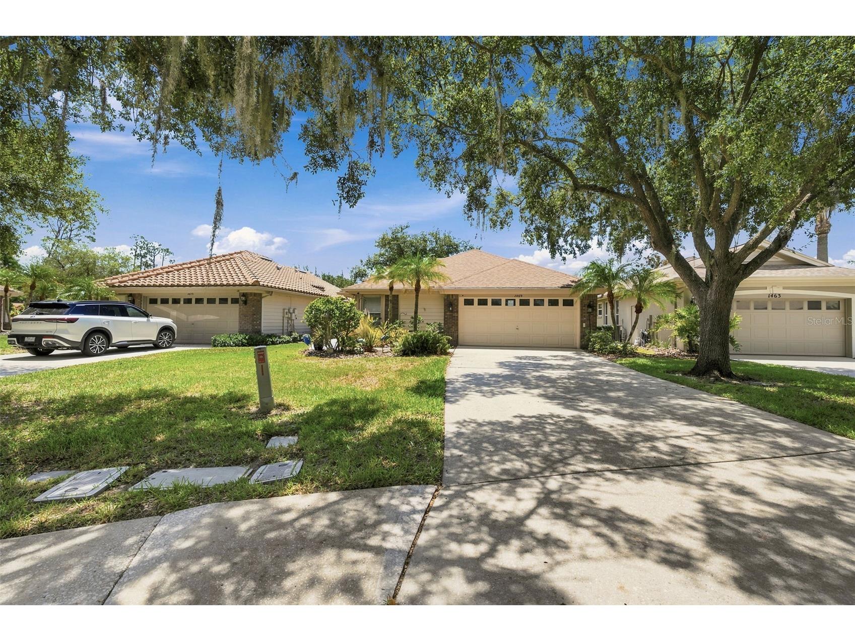 1469 Riverdale Drive Oldsmar FL 34677 TB8521939 image7