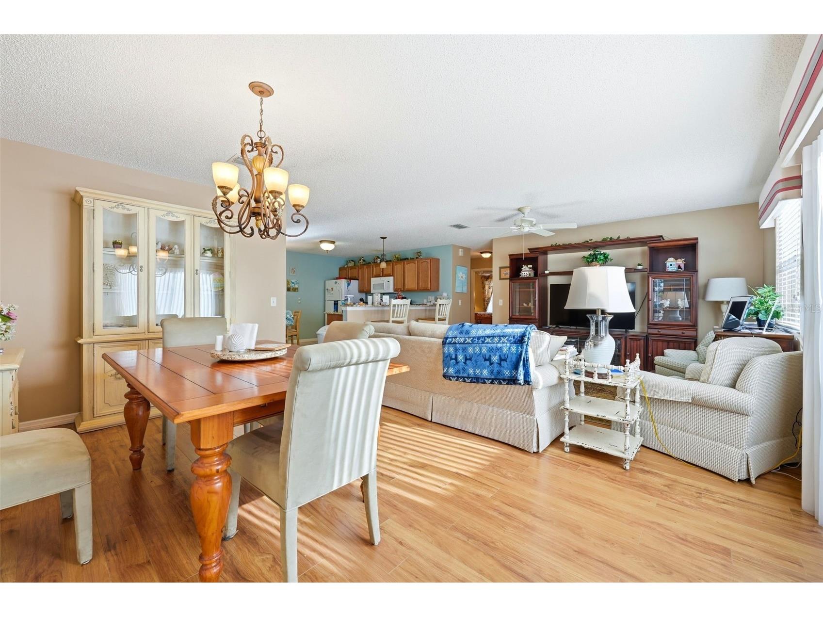 1469 Sothell Street The Villages FL 32162 G5108340 image10
