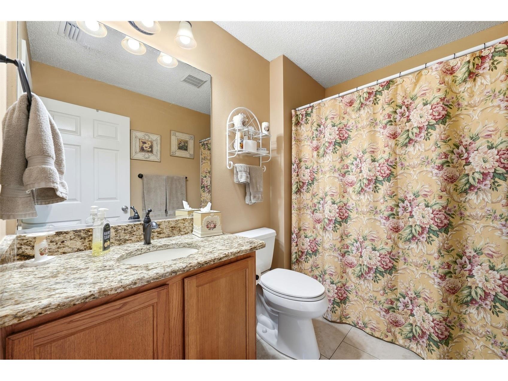 1469 Sothell Street The Villages FL 32162 G5108340 image17