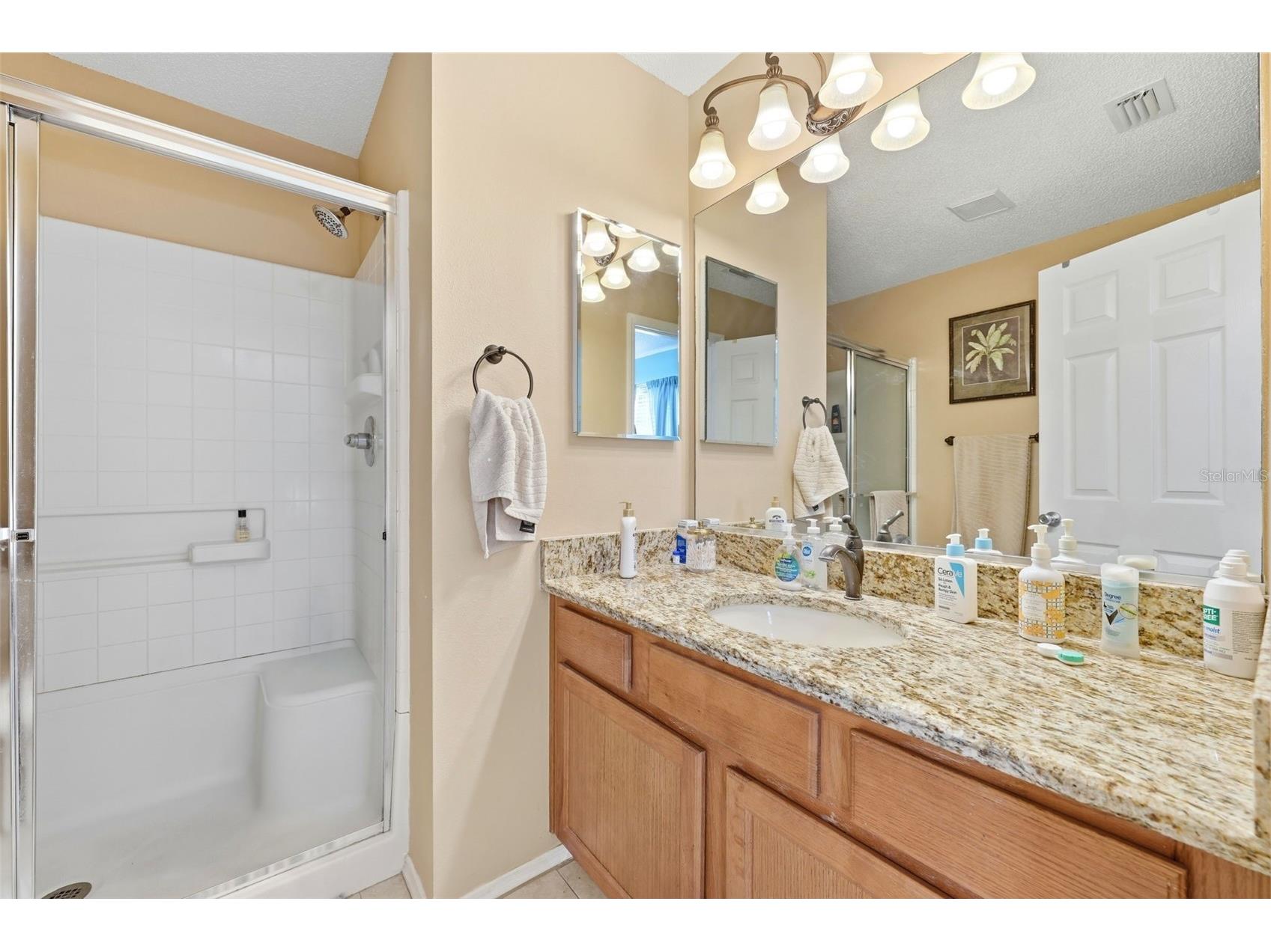 1469 Sothell Street The Villages FL 32162 G5108340 image22