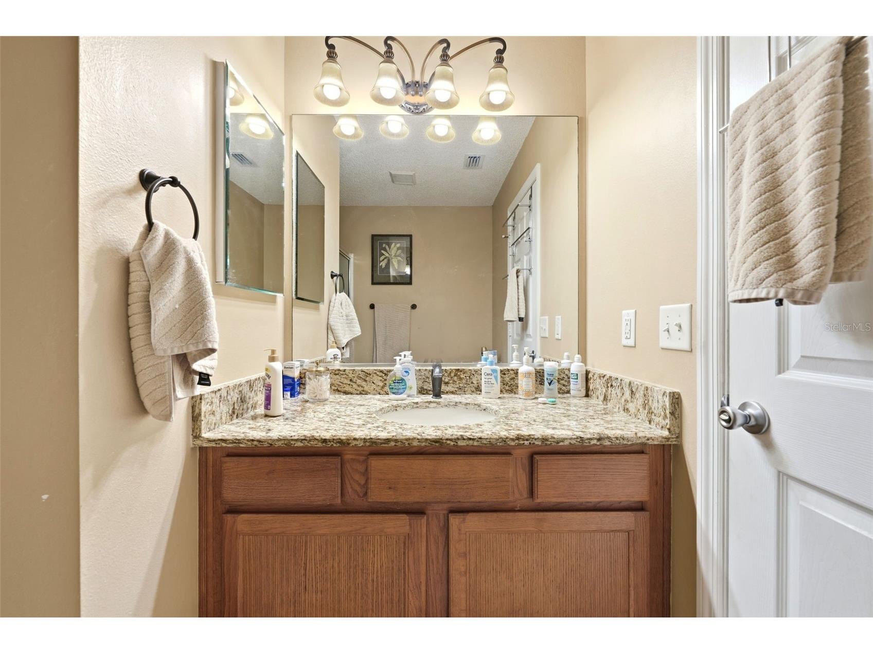 1469 Sothell Street The Villages FL 32162 G5108340 image23