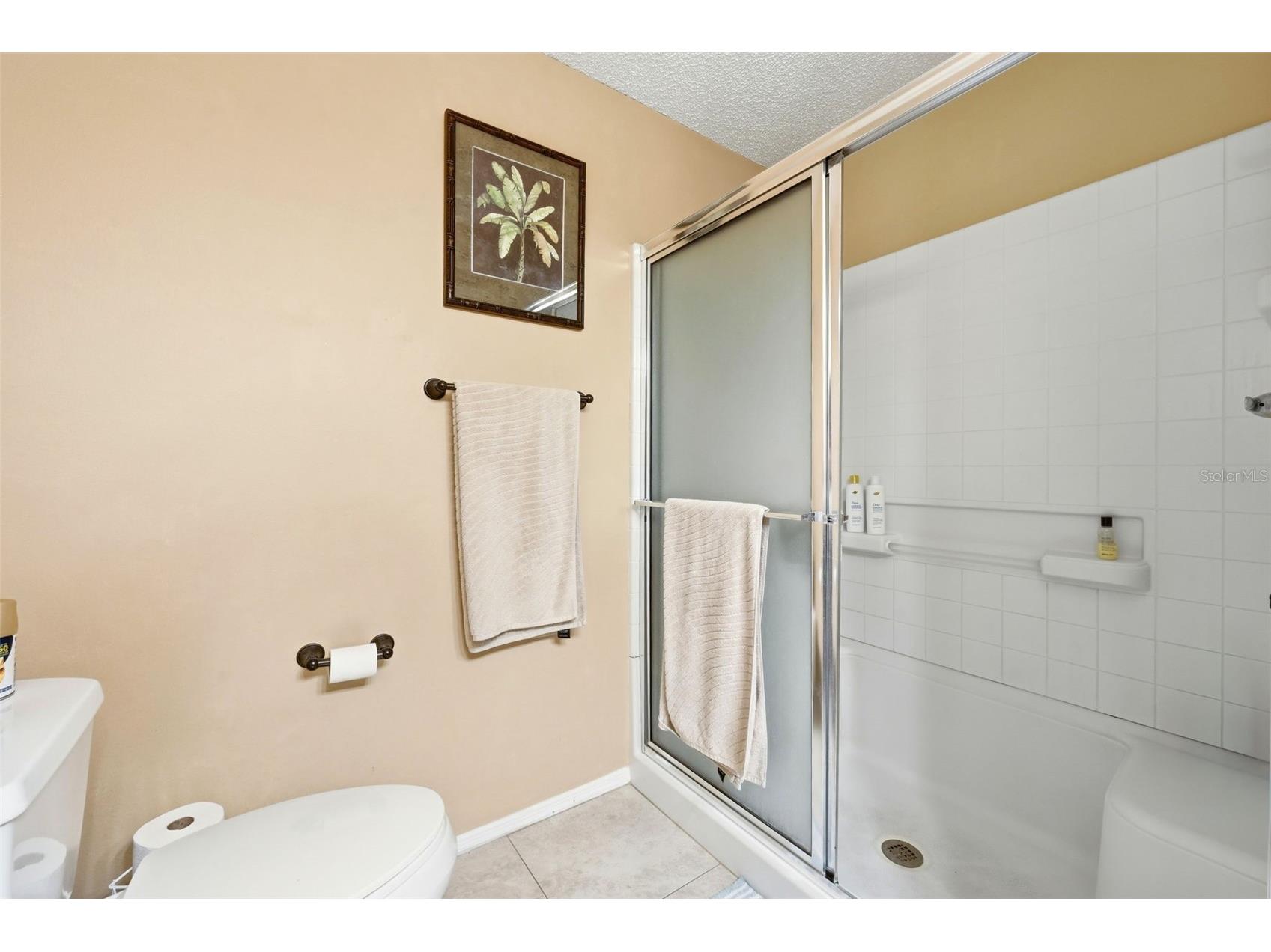1469 Sothell Street The Villages FL 32162 G5108340 image24