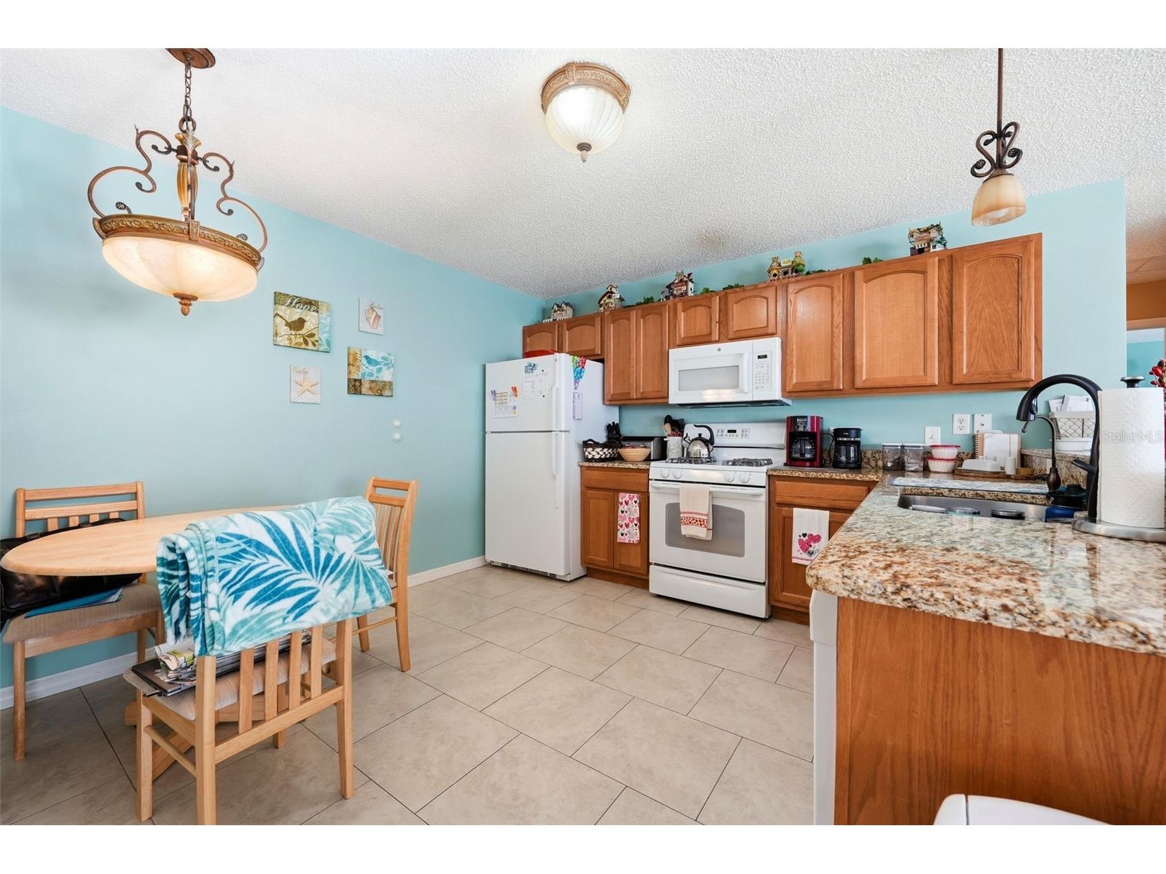 1469 Sothell Street The Villages FL 32162 G5108340 image26