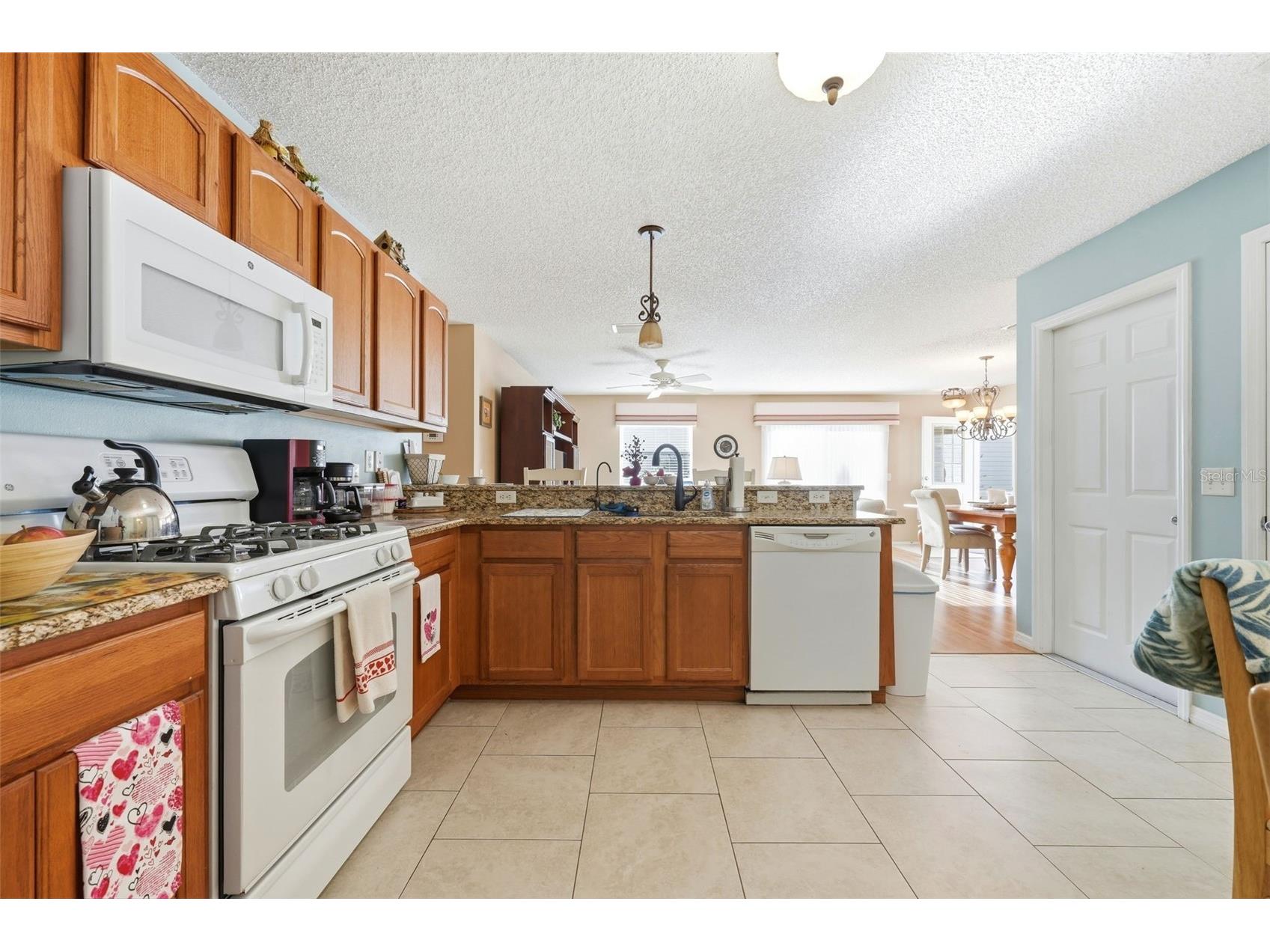 1469 Sothell Street The Villages FL 32162 G5108340 image27