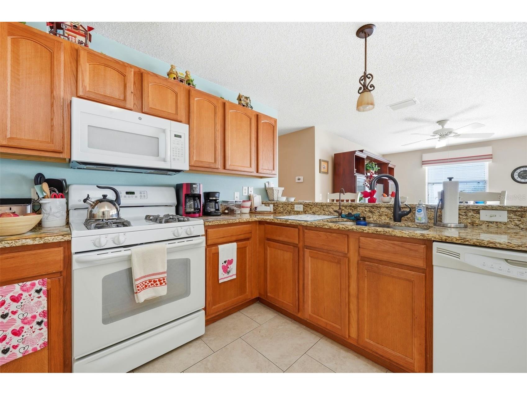 1469 Sothell Street The Villages FL 32162 G5108340 image28