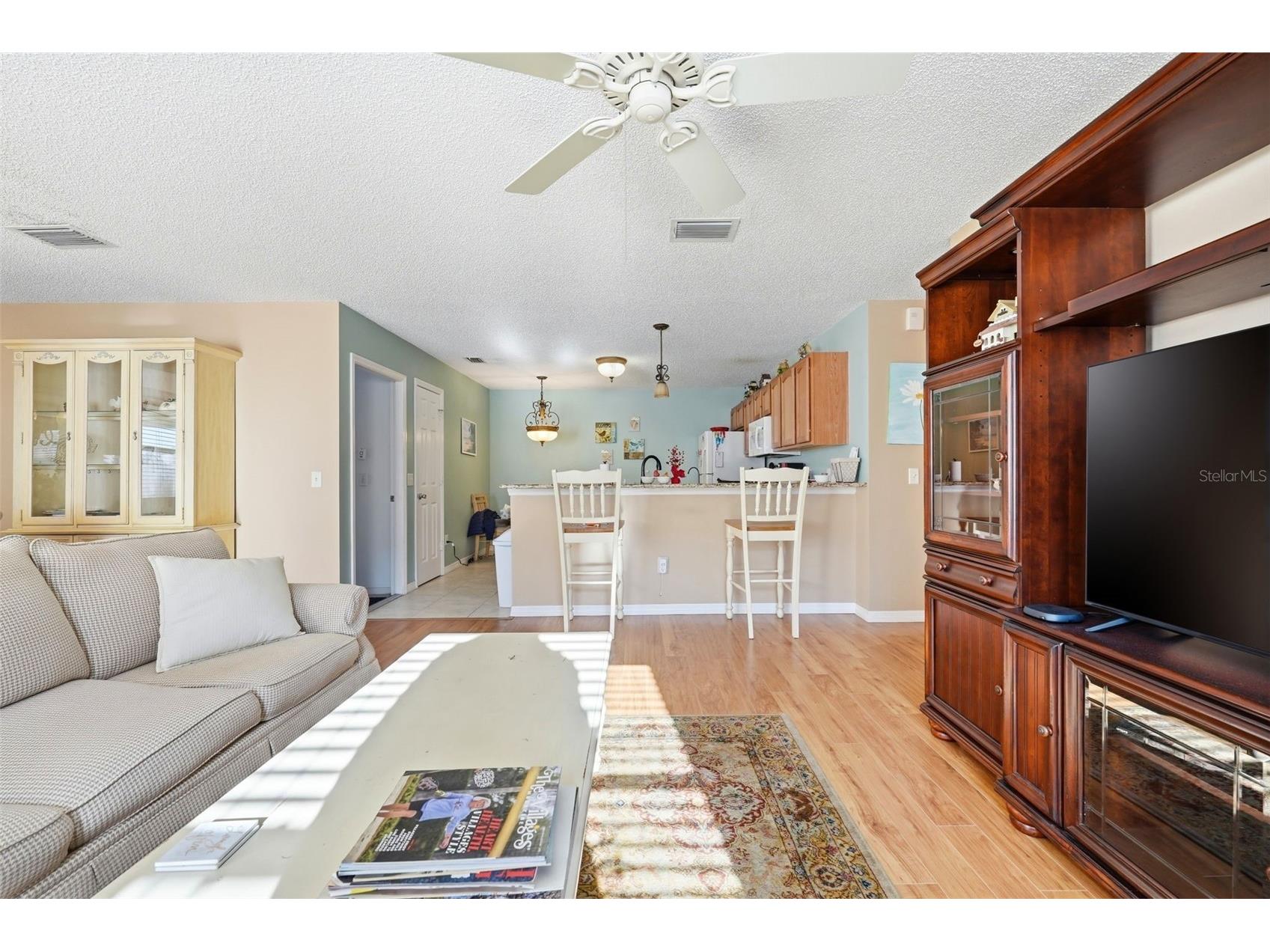 1469 Sothell Street The Villages FL 32162 G5108340 image29