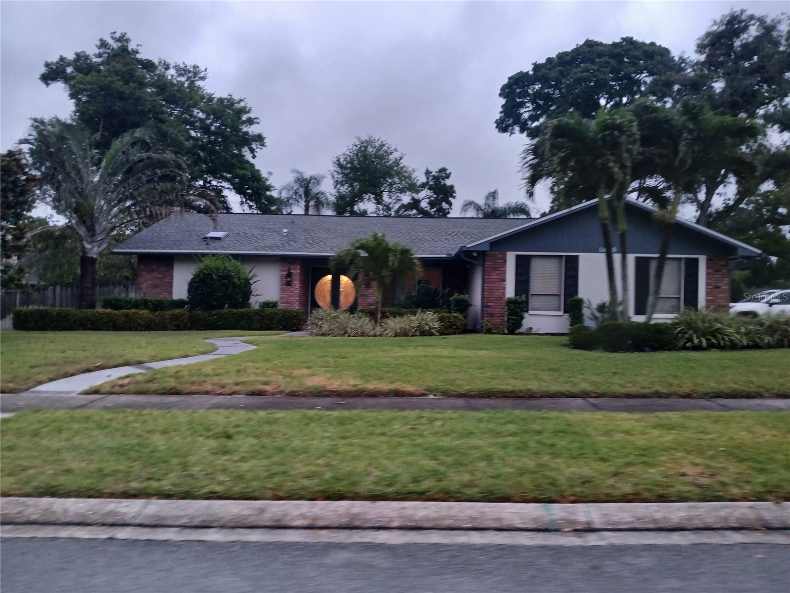 1469 Treetop Dr Palm Harbor FL 34683 TB8504484 image1