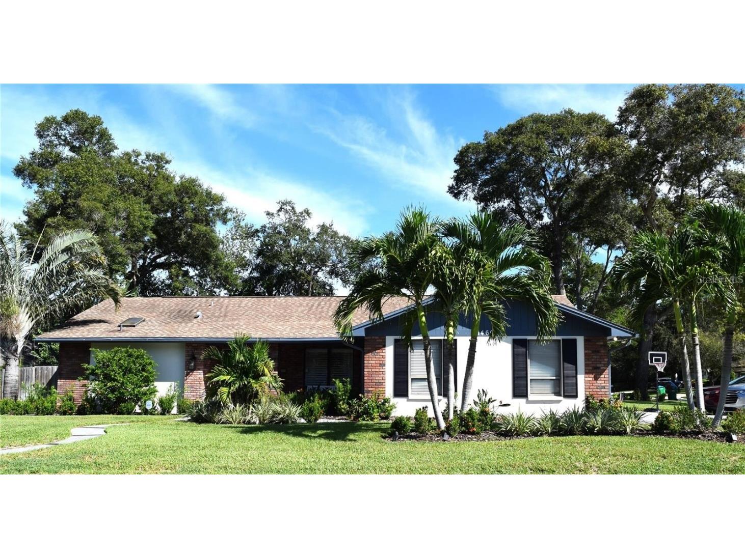 1469 Treetop Drive Palm Harbor FL 34683 U8219657 image1